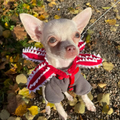 Demopet™ - Gorro Para Mascotas